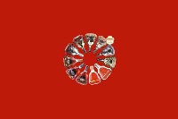 中山区回收红酒